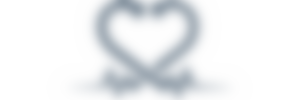 medi_logo08